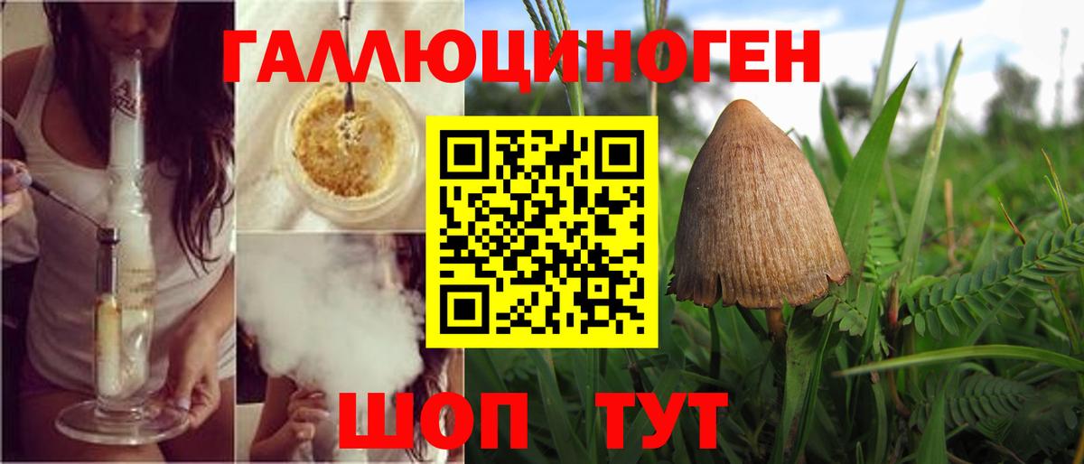 Междуреченск  Галлюциногенные грибы мухоморы  Вход с VPN 